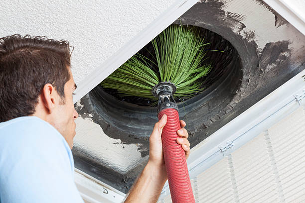 Best Air Duct Mold Removal  in Griffith, IN